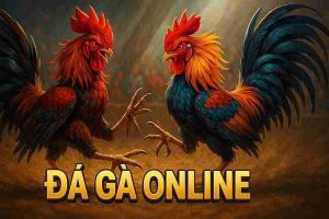 Đá Gà Online WIN678 - Trải nghiệm kịch tính và an toàn
